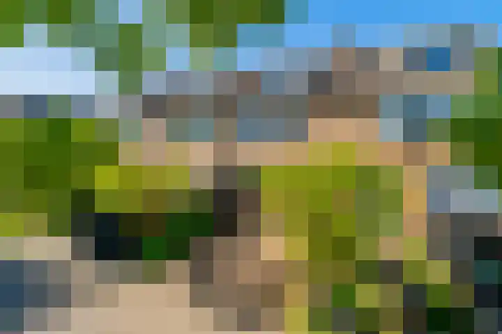 Galjoen 5 Diemen thumbnail 47