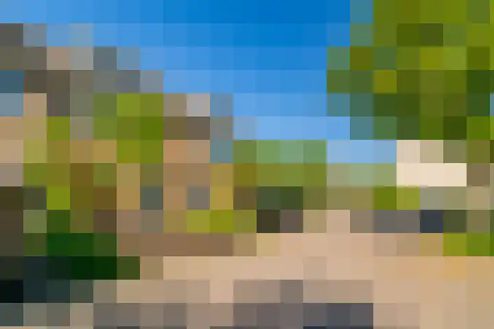 Galjoen 5 Diemen thumbnail 48