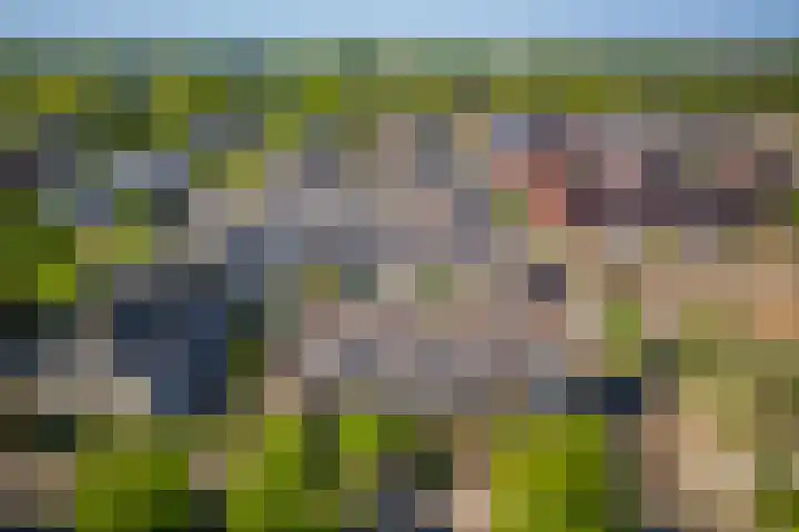 Galjoen 5 Diemen thumbnail 50