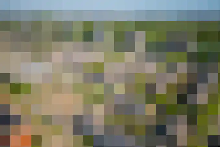 Galjoen 5 Diemen thumbnail 53
