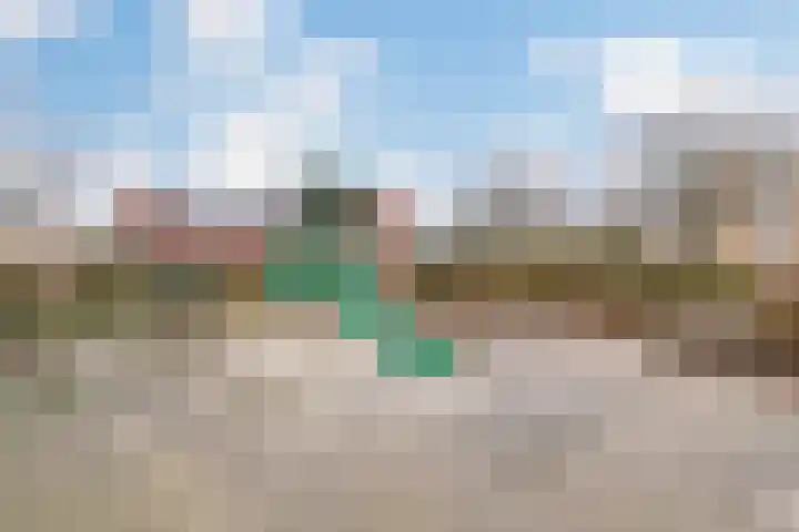 Galjoen 5 Diemen thumbnail 54