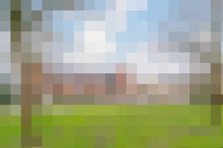 Galjoen 5 Diemen thumbnail 55