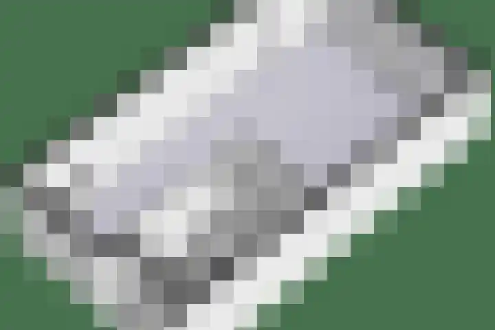 Galjoen 5 Diemen thumbnail 62