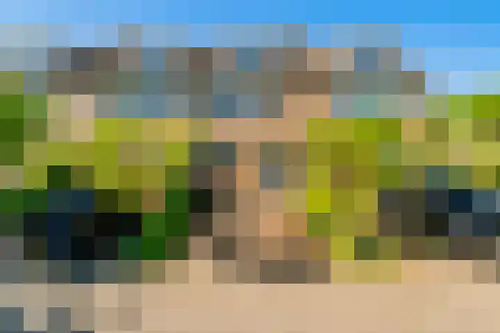 Galjoen 5 Diemen thumbnail 67