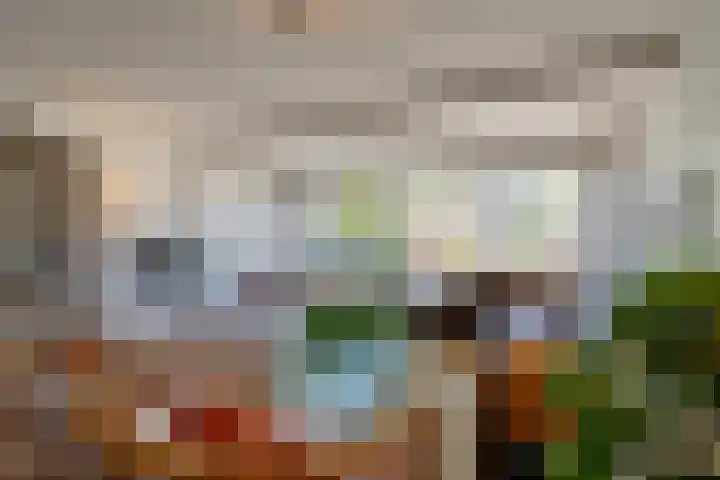 Galjoen 5 Diemen thumbnail 7