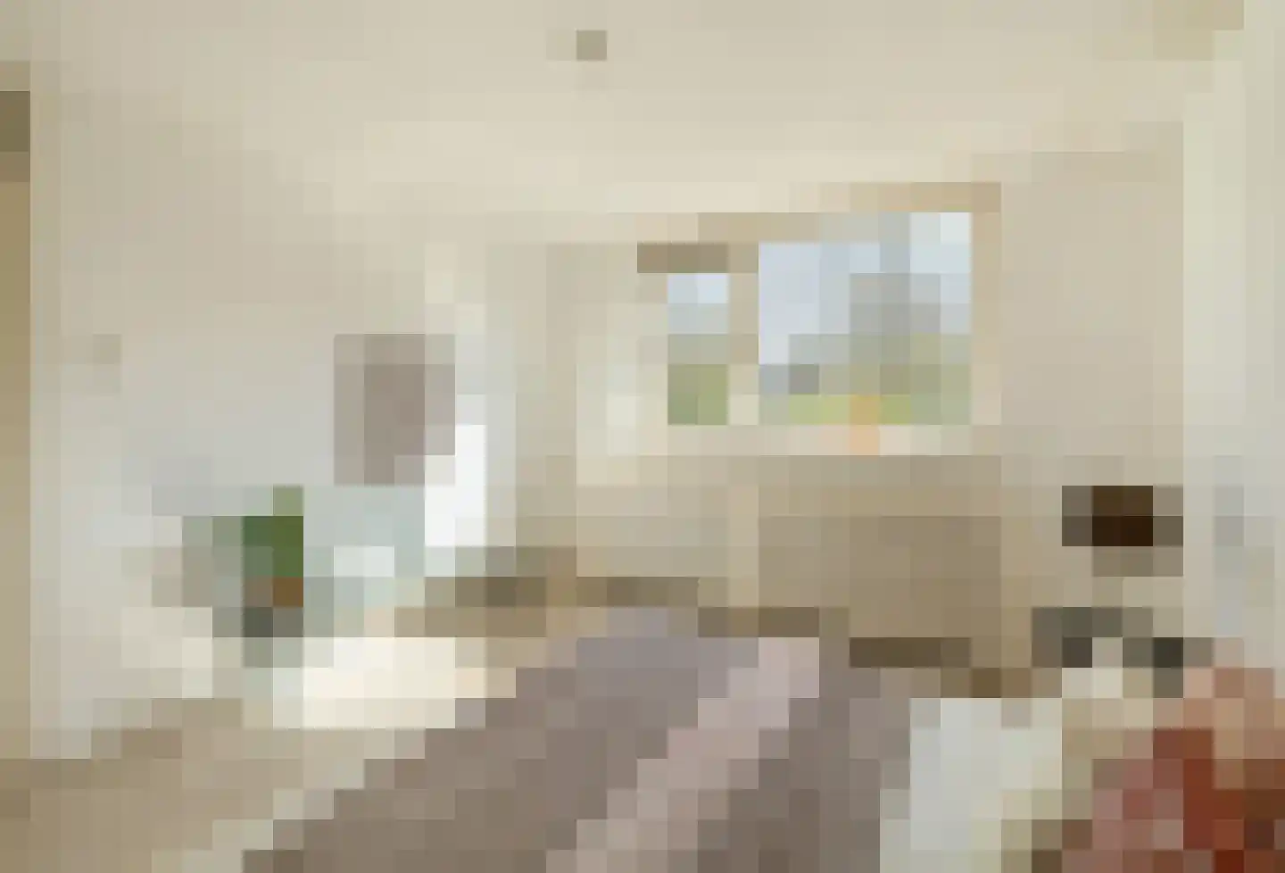 Galjoen 64 Hoorn thumbnail 4