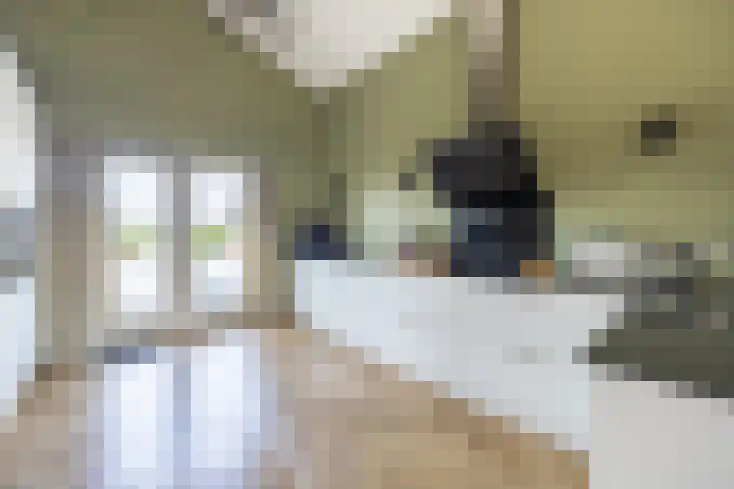 Galjoen 7 Alphen aan den Rijn thumbnail 10