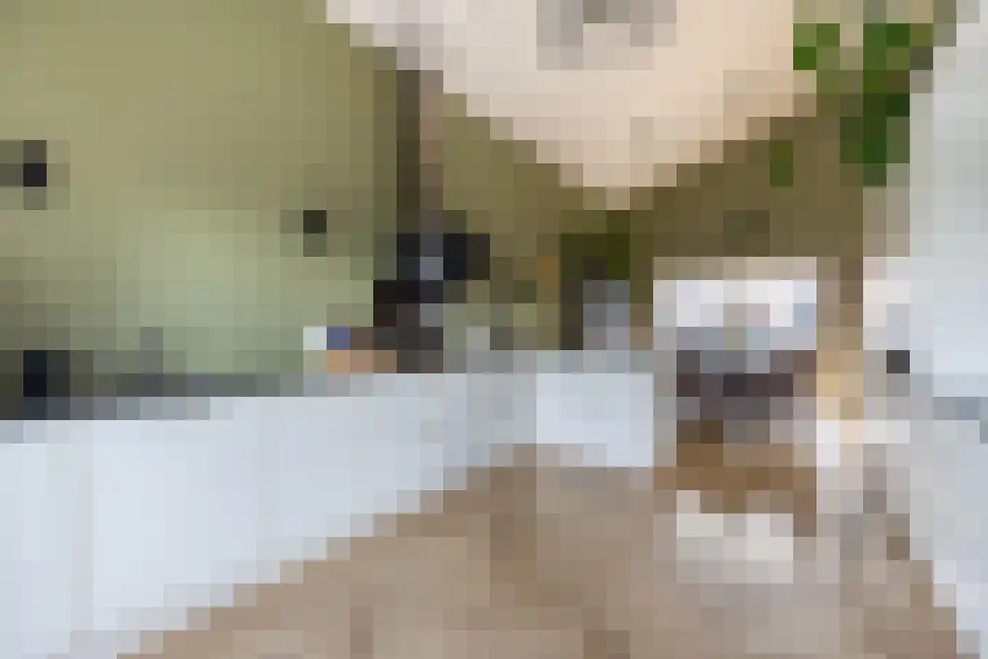 Galjoen 7 Alphen aan den Rijn thumbnail 11