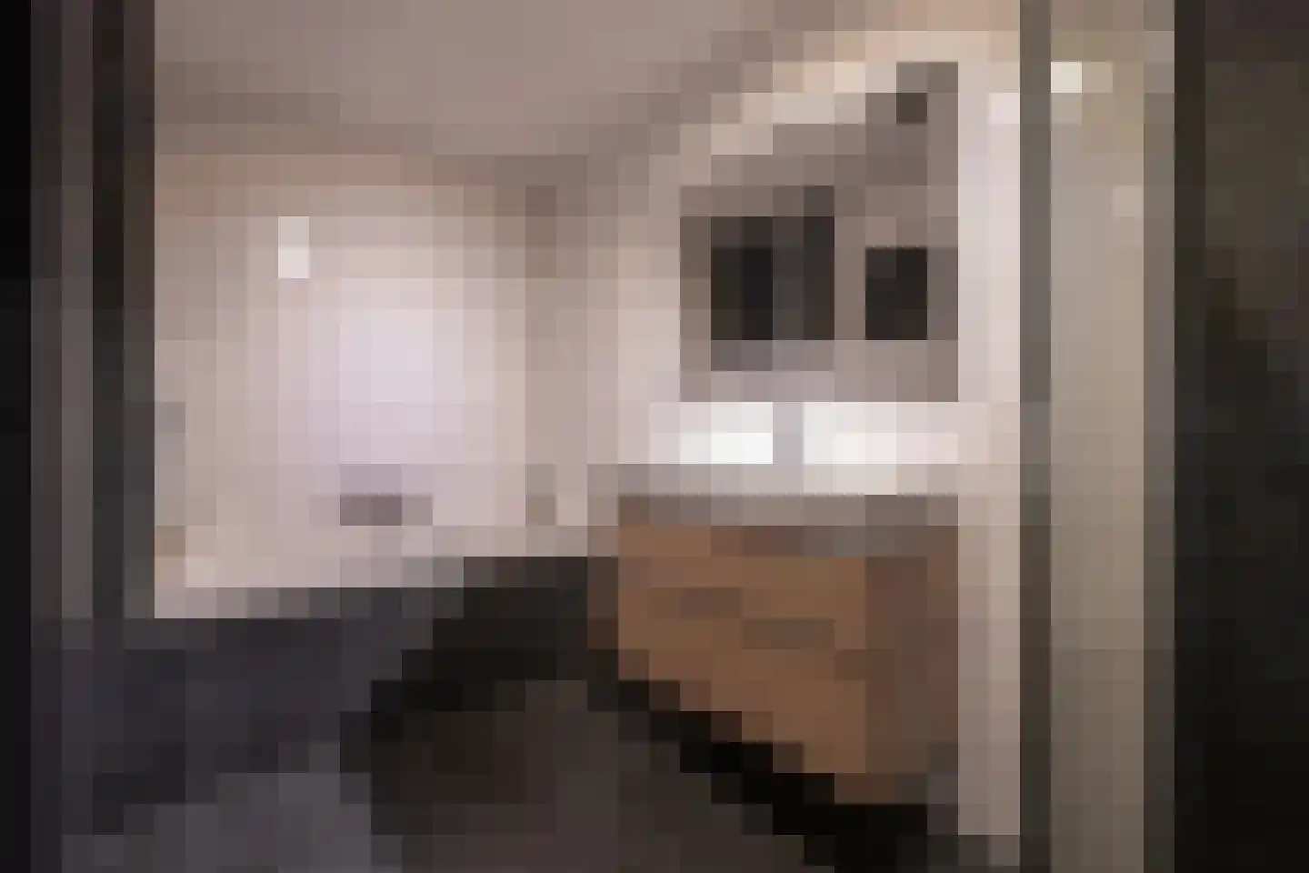Galjoen 7 Alphen aan den Rijn thumbnail 19