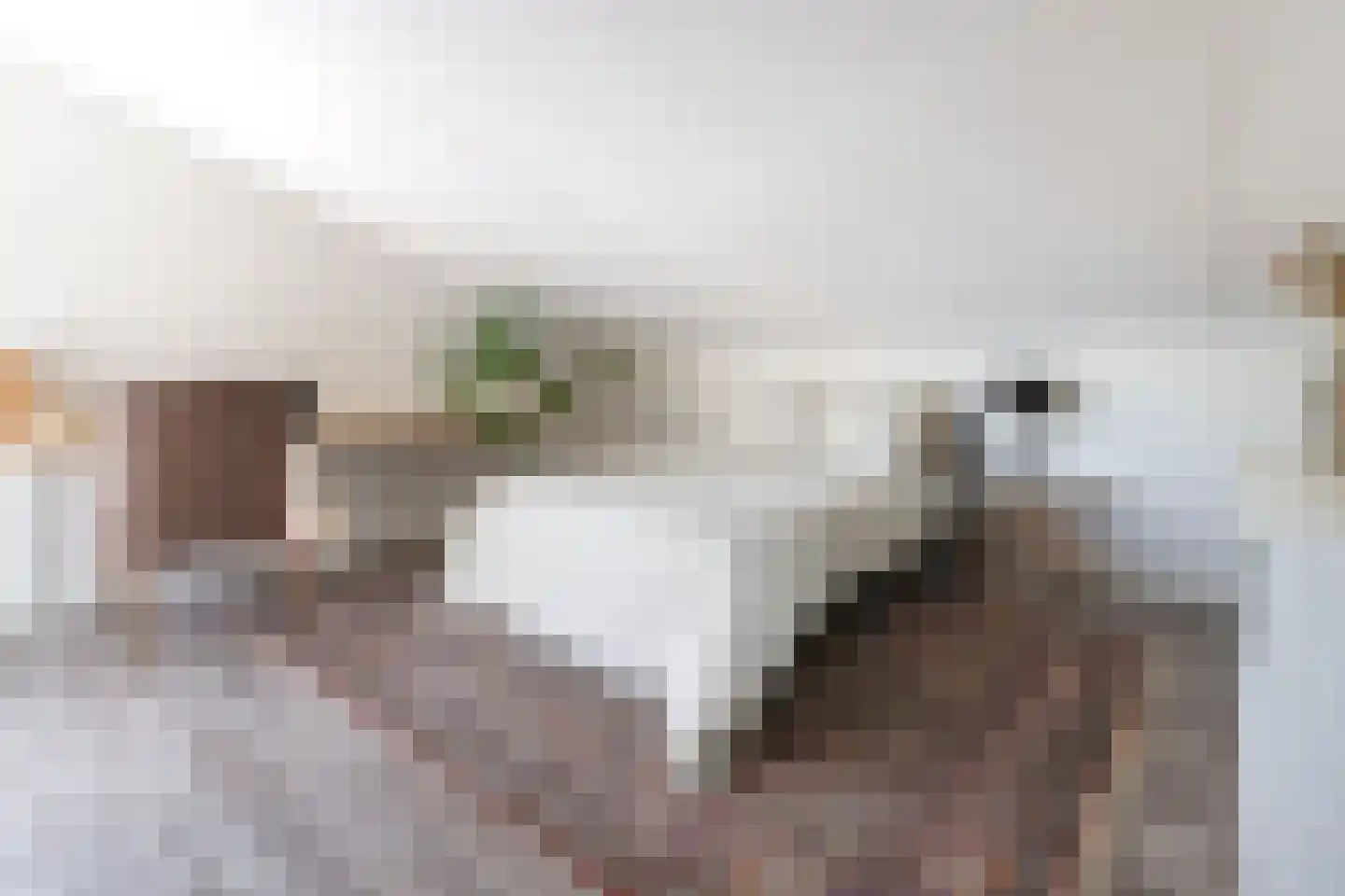 Galjoen 7 Alphen aan den Rijn thumbnail 23