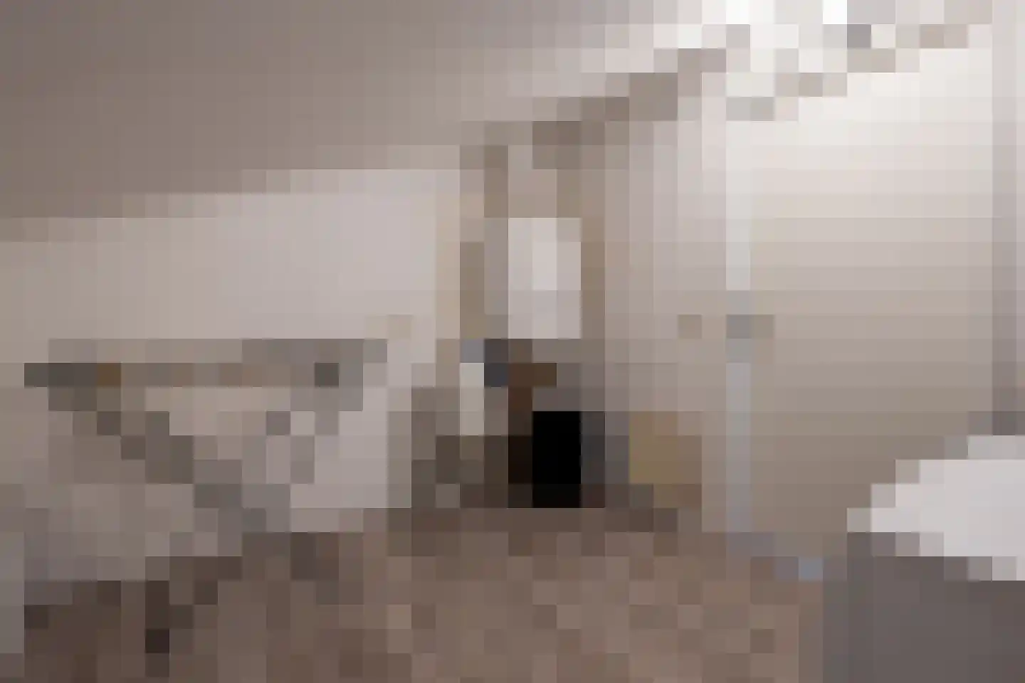 Galjoen 7 Alphen aan den Rijn thumbnail 30