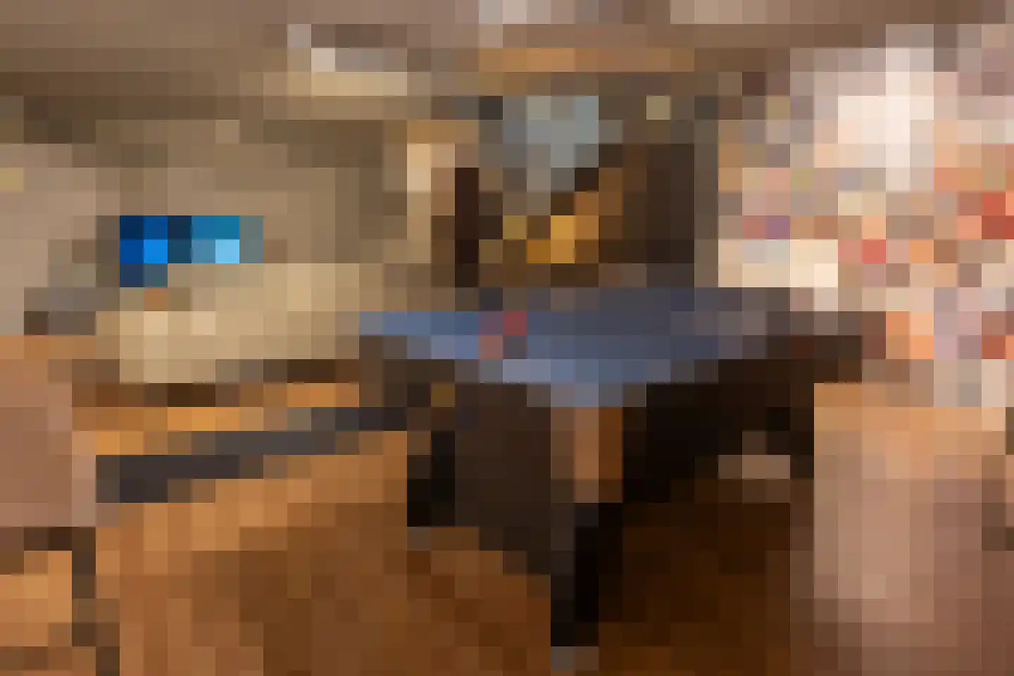 Galjoen 7 Alphen aan den Rijn thumbnail 32