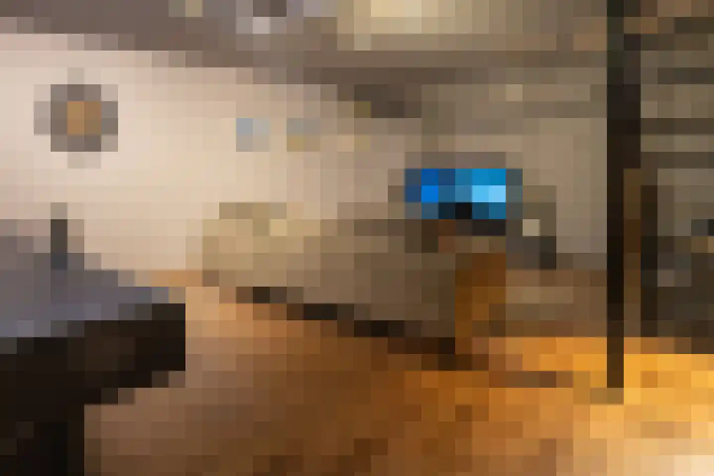 Galjoen 7 Alphen aan den Rijn thumbnail 33