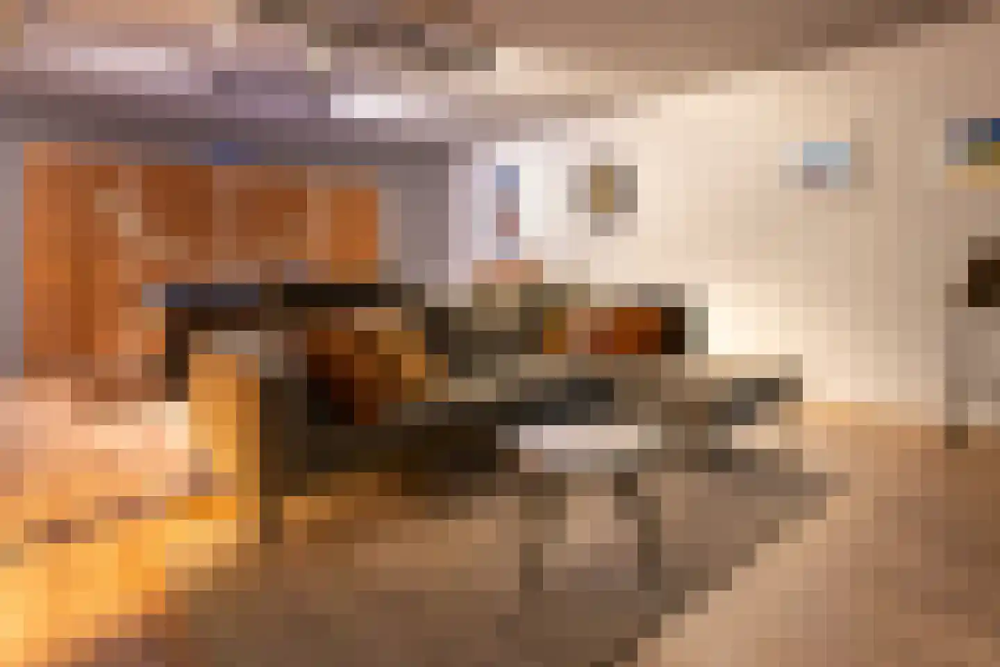 Galjoen 7 Alphen aan den Rijn thumbnail 34