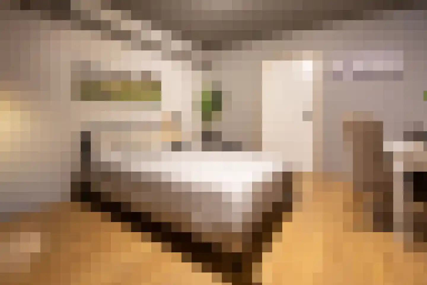 Galjoen 7 Alphen aan den Rijn thumbnail 36