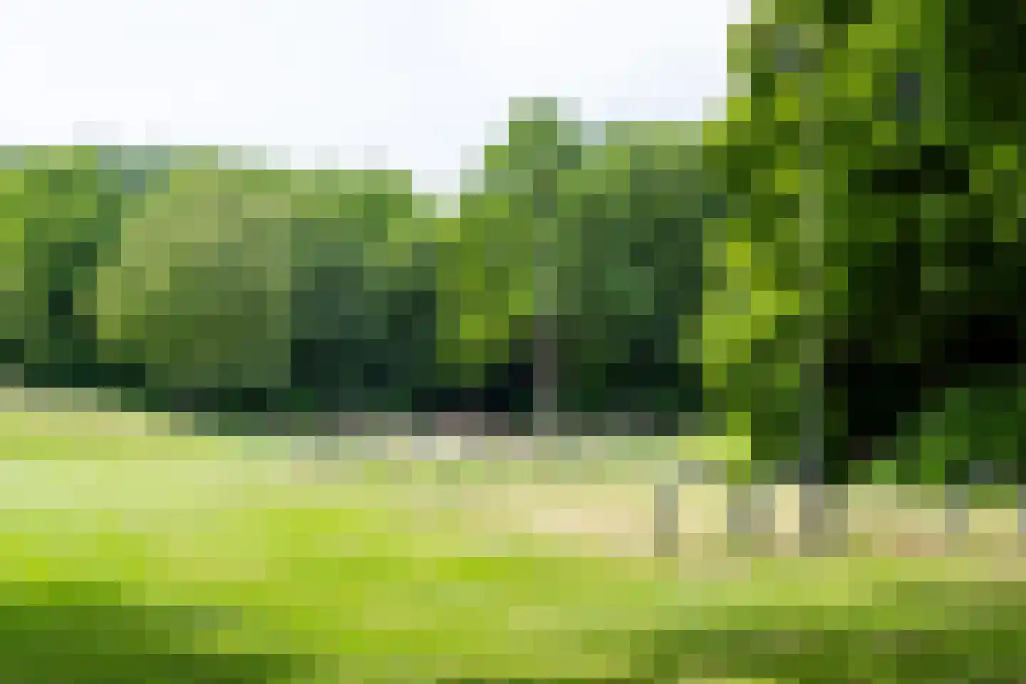 Galjoen 7 Alphen aan den Rijn thumbnail 45