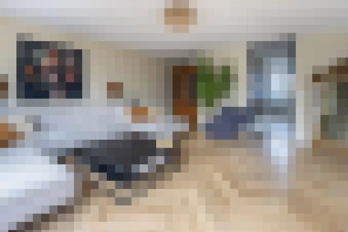 Galjoen 7 Alphen aan den Rijn thumbnail 5
