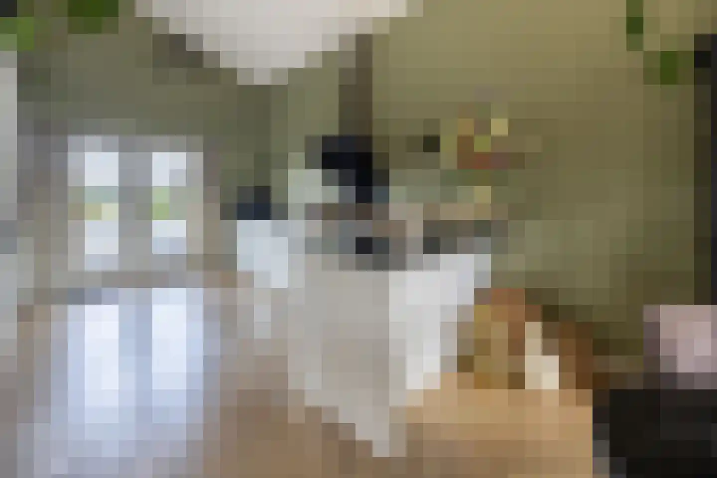 Galjoen 7 Alphen aan den Rijn thumbnail 9