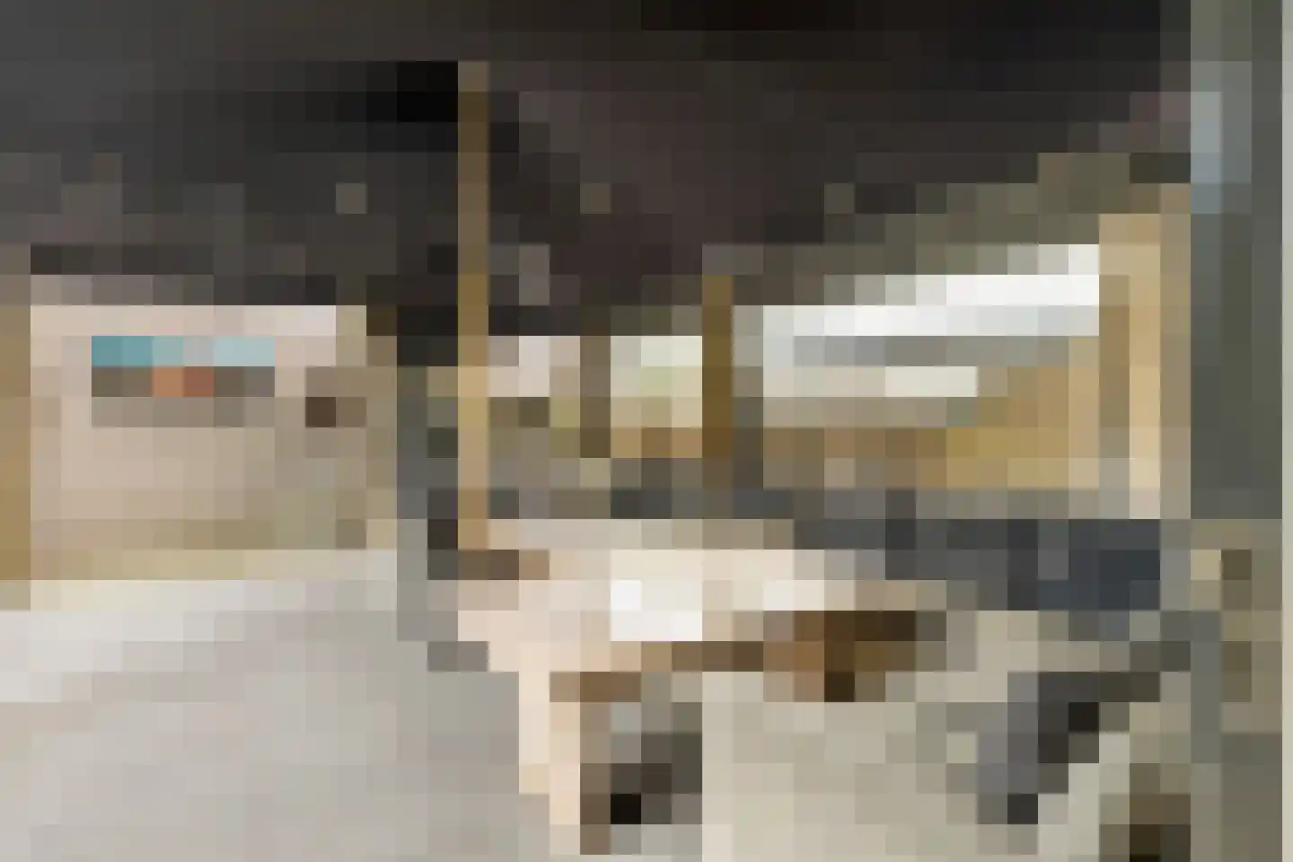Galjoen 84 Nijkerk thumbnail 30