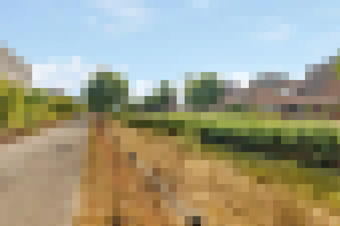Galjoen 84 Nijkerk thumbnail 36