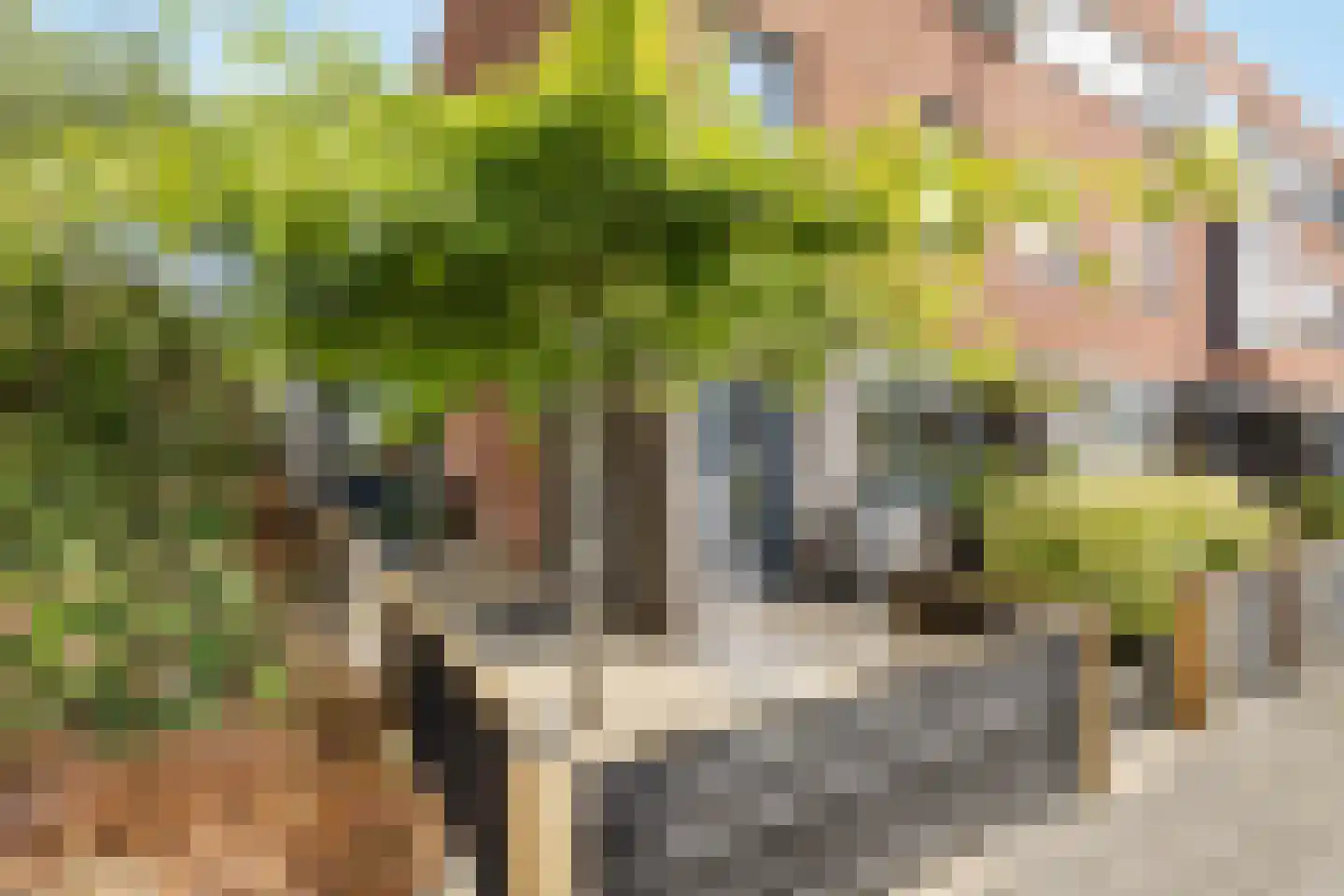 Galjoen 84 Nijkerk thumbnail 7