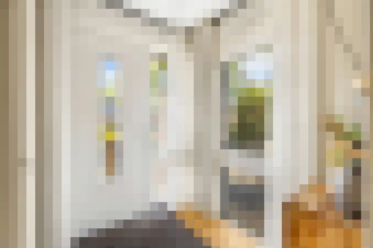 Galjoen 84 Nijkerk thumbnail 8