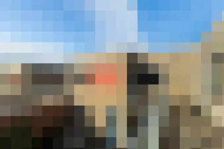 Galjoen 89 Nijkerk thumbnail 11