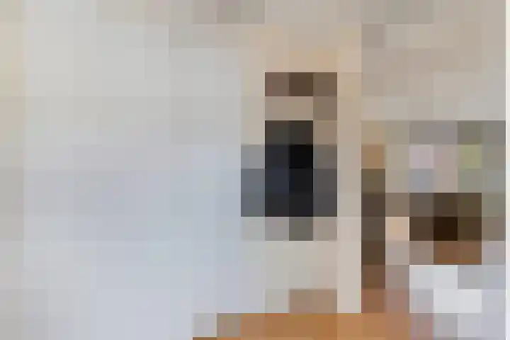 Galjoen 89 Nijkerk thumbnail 13