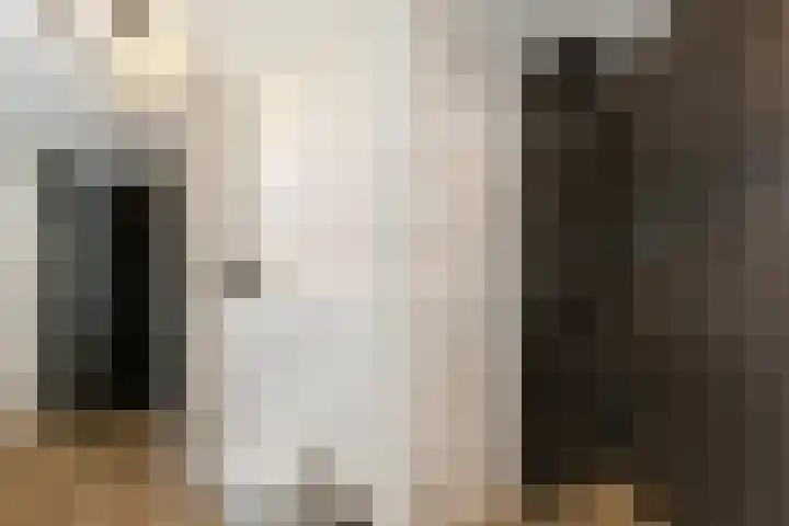 Galjoen 89 Nijkerk thumbnail 25