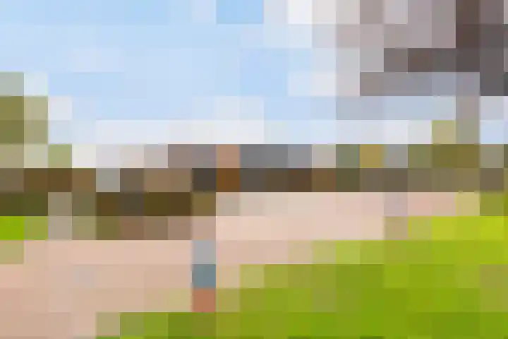 Galjoen 89 Nijkerk thumbnail 26