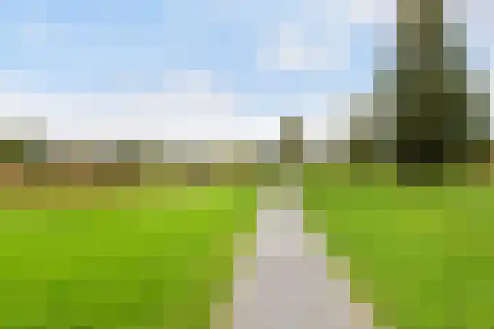 Galjoen 89 Nijkerk thumbnail 27