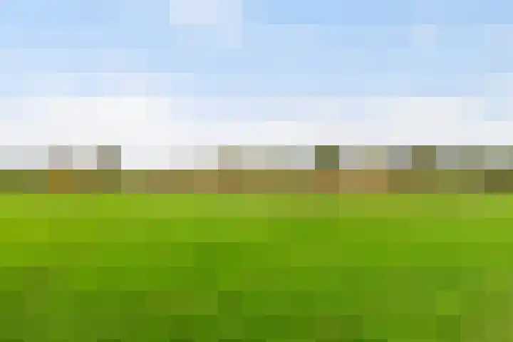 Galjoen 89 Nijkerk thumbnail 28