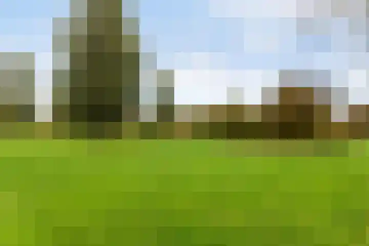 Galjoen 89 Nijkerk thumbnail 29