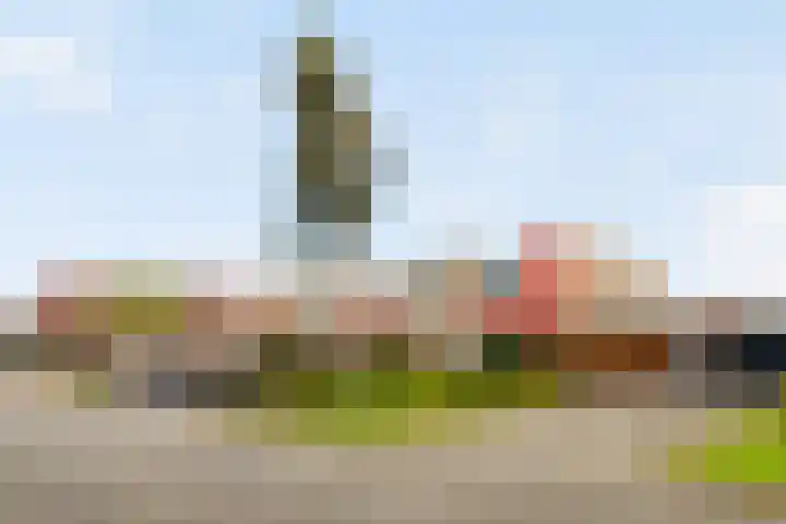 Galjoen 89 Nijkerk thumbnail 5