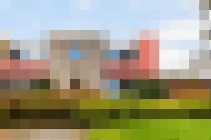 Galjoen 89 Nijkerk thumbnail 6