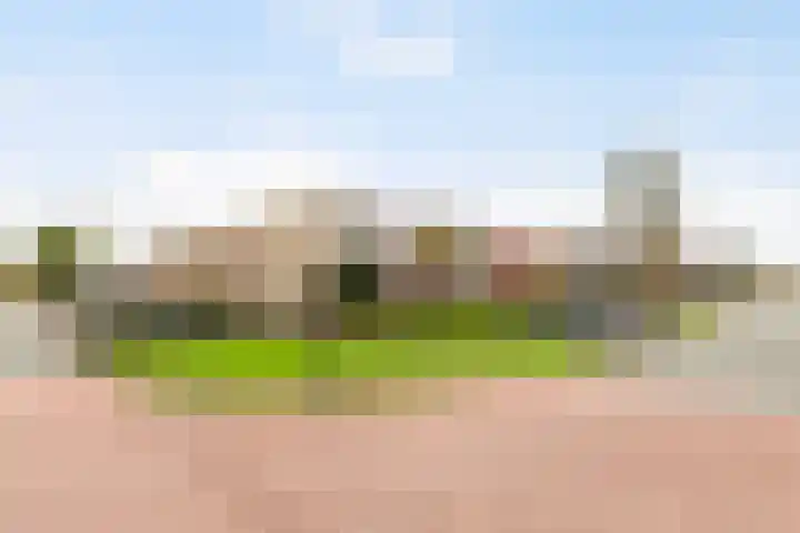 Galjoen 89 Nijkerk thumbnail 7
