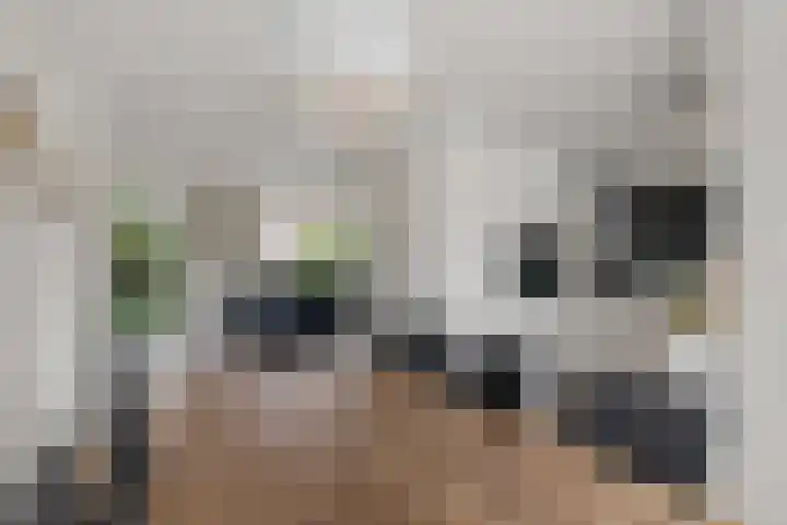 Galjoen 9 Franeker thumbnail 10