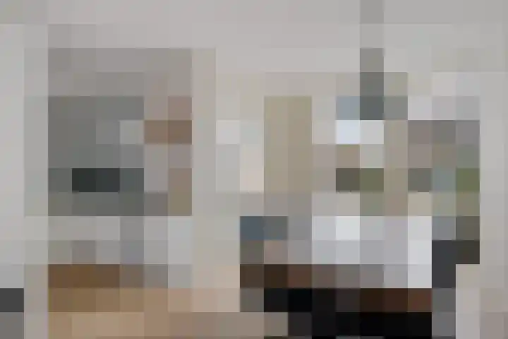 Galjoen 9 Franeker thumbnail 11