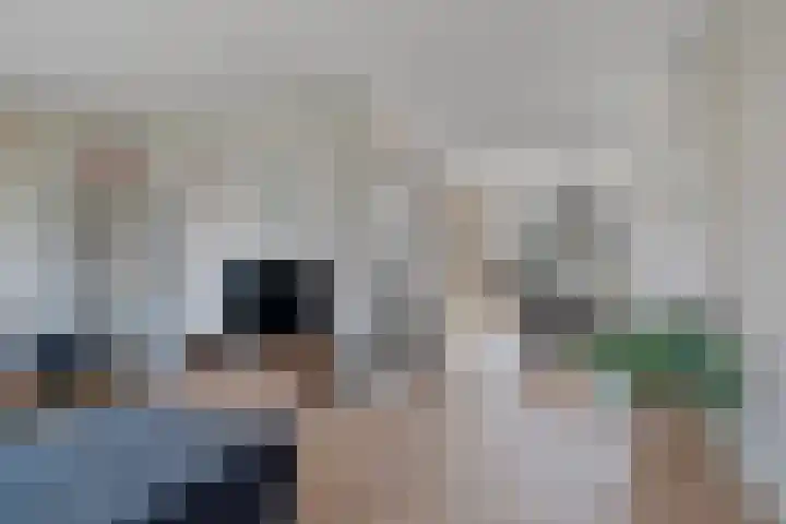 Galjoen 9 Franeker thumbnail 15