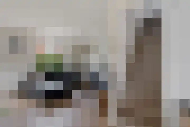 Galjoen 9 Franeker thumbnail 16