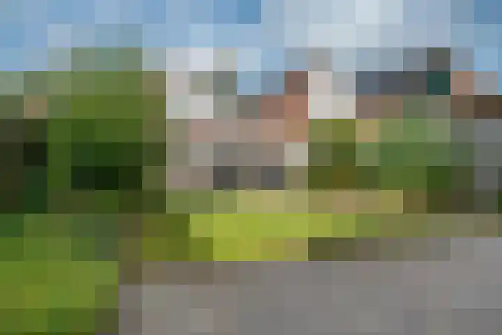 Galjoen 9 Franeker thumbnail 17