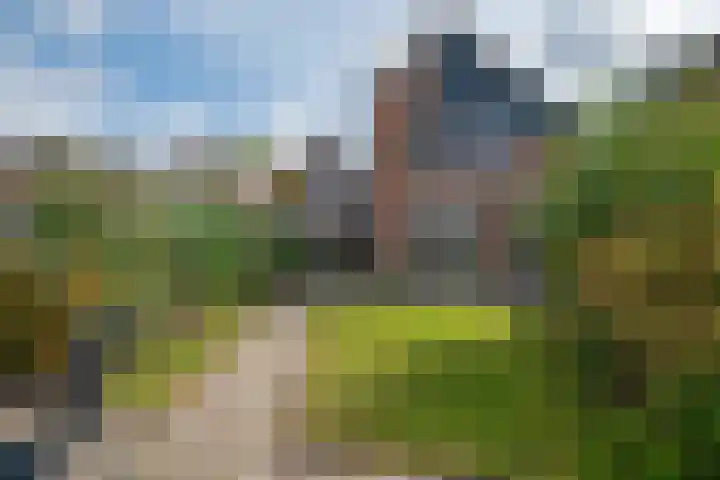Galjoen 9 Franeker thumbnail 18