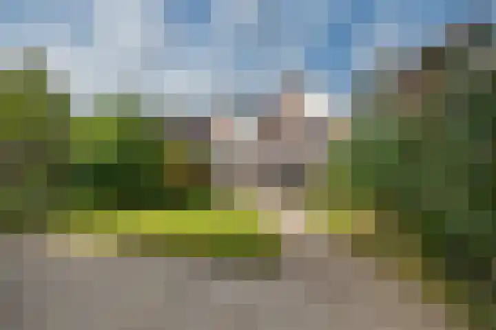 Galjoen 9 Franeker thumbnail 20