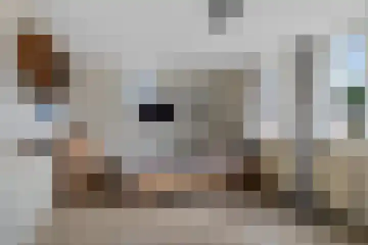 Galjoen 9 Franeker thumbnail 23