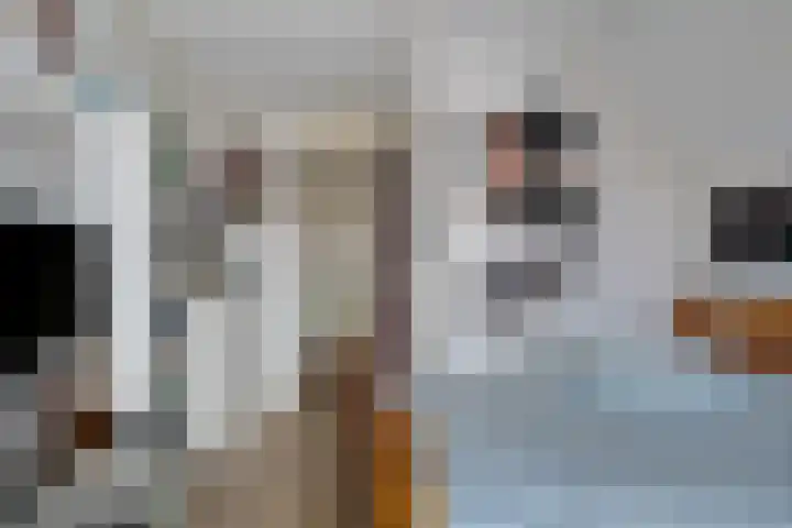 Galjoen 9 Franeker thumbnail 27
