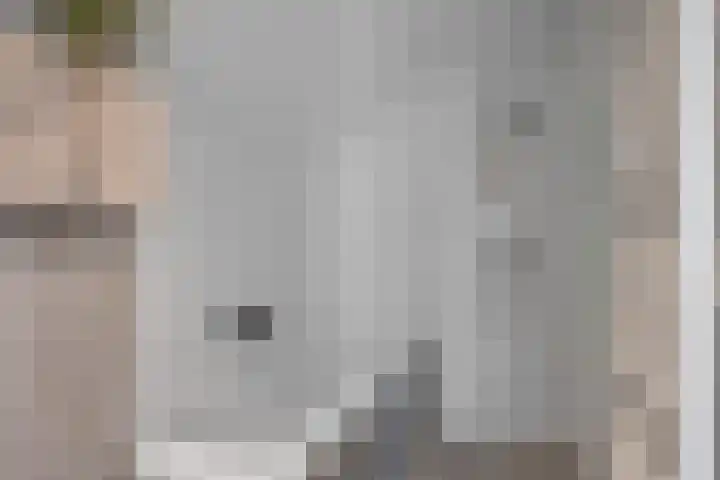 Galjoen 9 Franeker thumbnail 28