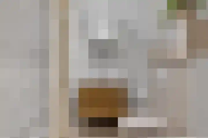 Galjoen 9 Franeker thumbnail 29