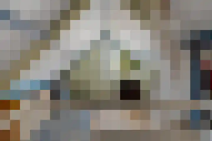 Galjoen 9 Franeker thumbnail 30
