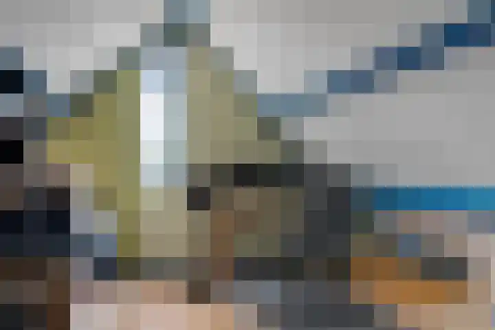 Galjoen 9 Franeker thumbnail 31