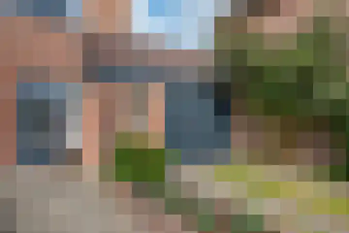 Galjoen 9 Franeker thumbnail 34